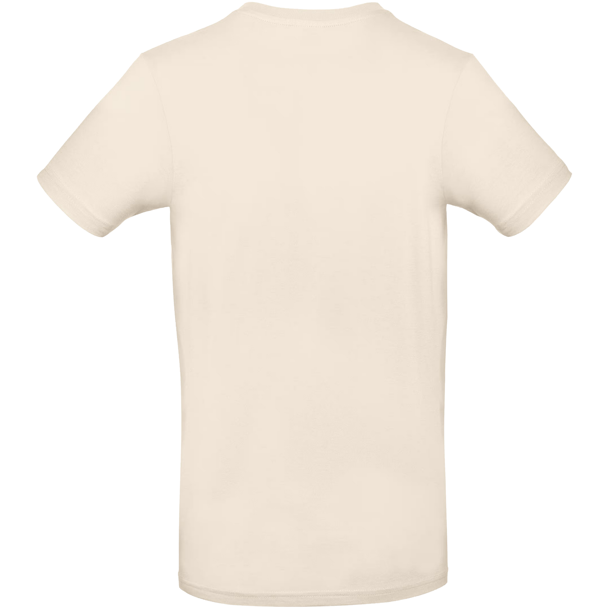 tshirt2_beige_back