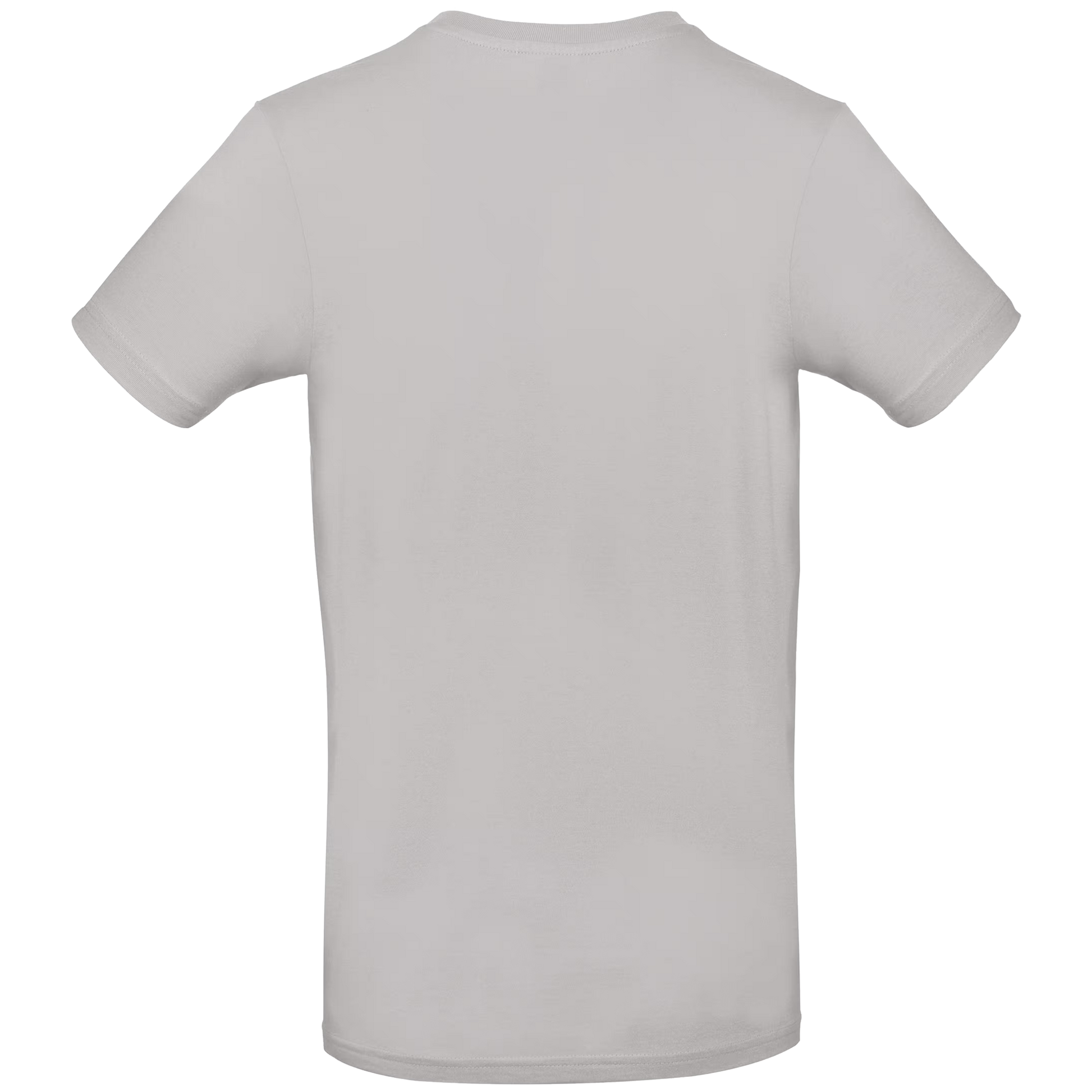 tshirt2_gris_back