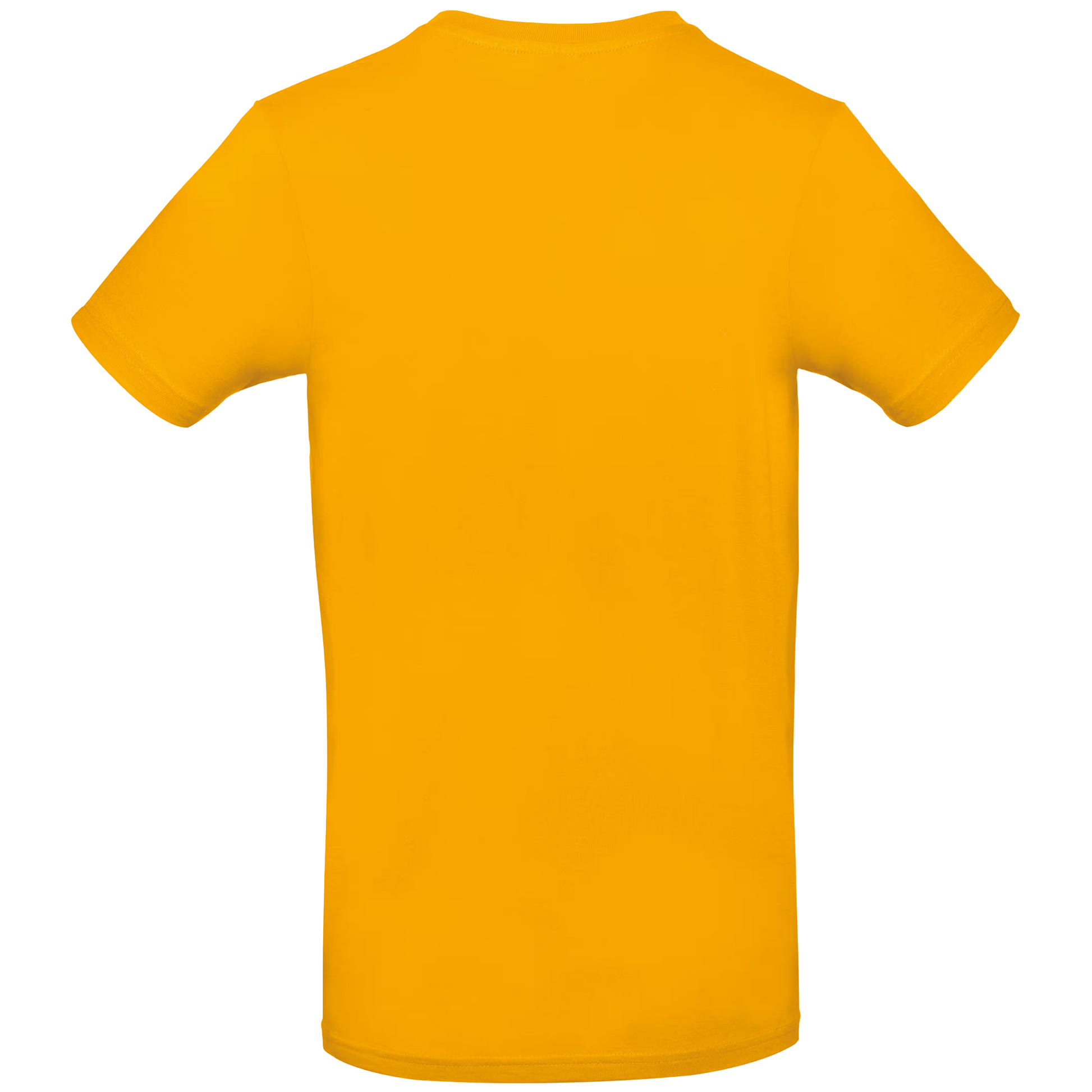 tshirt2_moutarde_back